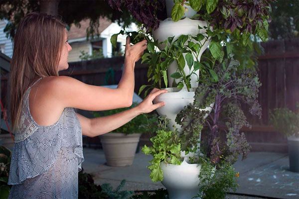 csinald-magad-hidroponia