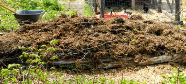 onellatas_hugelkultura1