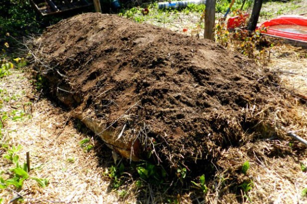 onellatas_hugelkultura2