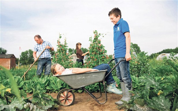 kozosseg_onellatas_kerteszet1