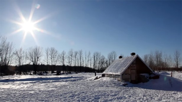 uveghaz-onellatas-zoldszem1