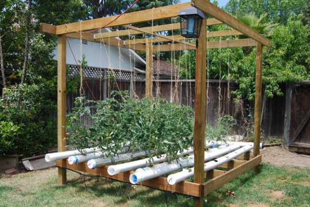 hidroponia_zoldszem_onellatas1