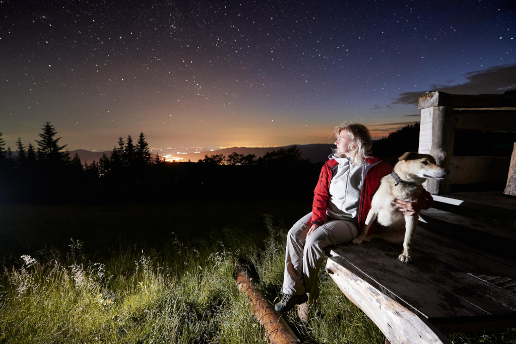 környezetbarát módszer a hőhullámra